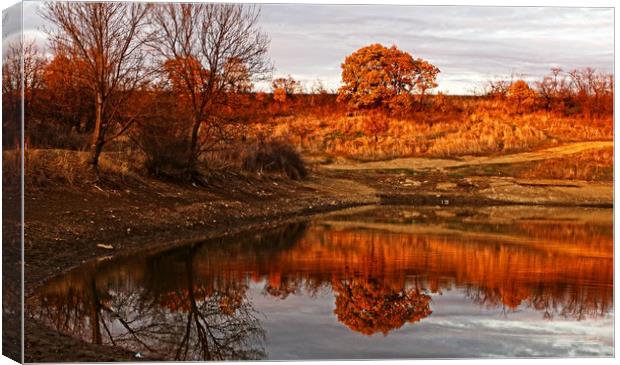 Golden hour reflection Canvas Print by Martin Smith