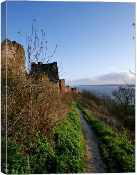 Scarborough castle fotpath Canvas Print by Martin Smith