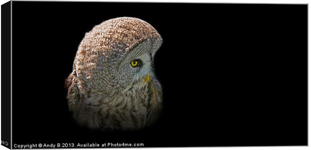 European Great Grey Owl Canvas Print by Andy Bennette