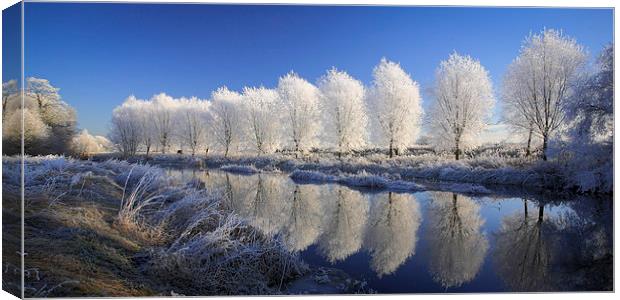  Mirror Trees Canvas Print by Andy Bennette