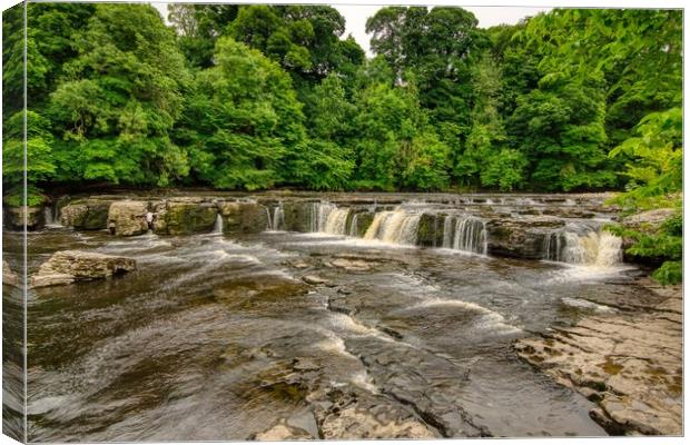 Aysgarth falls on the River Ure in Yorkshire  Canvas Print by Kevin Smith