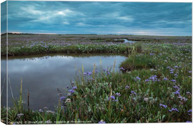 Wild flower display on the salt marsh Canvas Print by Stuart Hill