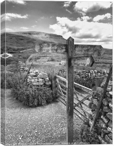 The route to Pen-y-Ghent  Canvas Print by EMMA DANCE PHOTOGRAPHY