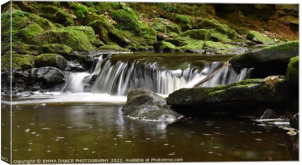 The Waterfalls at Hareshaw Linn, Bellingham  Canvas Print by EMMA DANCE PHOTOGRAPHY