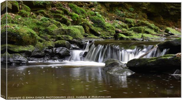 The Waterfalls at Hareshaw Linn, Bellingham Canvas Print by EMMA DANCE PHOTOGRAPHY