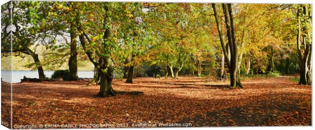 Autumn Colours at Bolam Lake Country Park, Northum Canvas Print by EMMA DANCE PHOTOGRAPHY