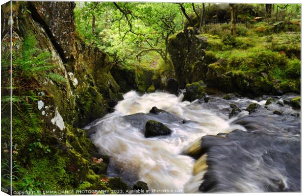 Lodore Falls, Lake District Canvas Print by EMMA DANCE PHOTOGRAPHY