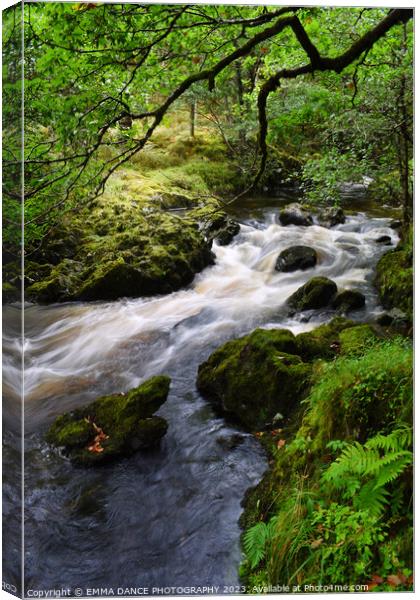 The Streams at Lodore Falls, Lake District Canvas Print by EMMA DANCE PHOTOGRAPHY