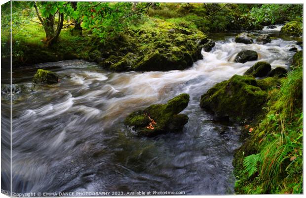 The Streams at Lodore Falls, Lake District Canvas Print by EMMA DANCE PHOTOGRAPHY