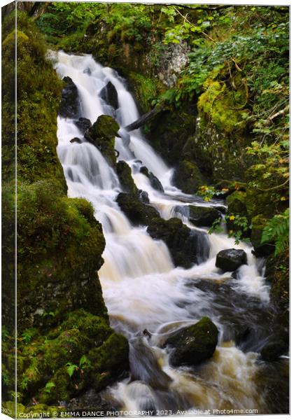 Lodore Falls, Lake District Canvas Print by EMMA DANCE PHOTOGRAPHY