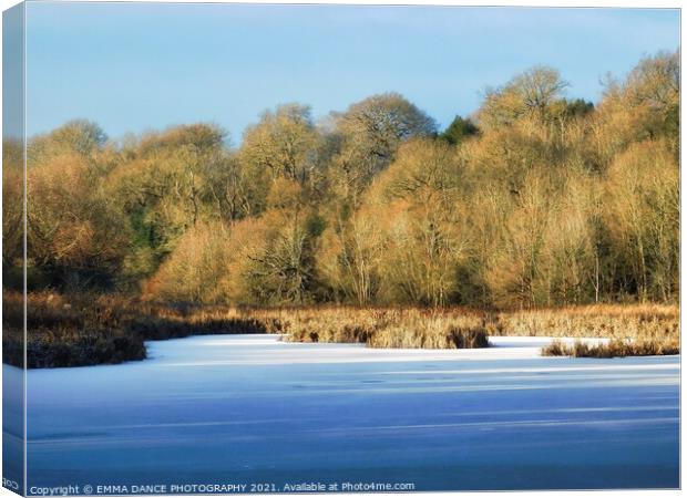 Winter at Hagg Pond,  Wylam Canvas Print by EMMA DANCE PHOTOGRAPHY