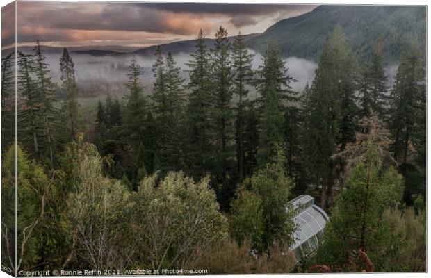 Benmore In The Mist Canvas Print by Ronnie Reffin