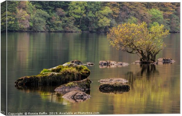 Tree In The Loch Canvas Print by Ronnie Reffin