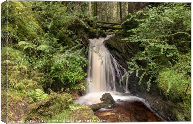 Gorge Waterfall Canvas Print by Ronnie Reffin