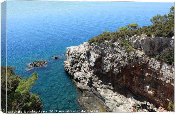 Rockface and bay on Lokrum island Canvas Print by Andrew Reece