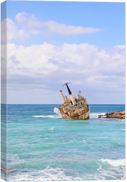 Rusty Shipwreck Canvas Print by Jan Gregory