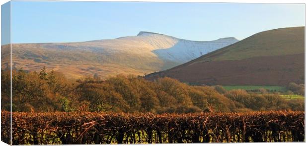 Brecon Beacons View Canvas Print by Ellen Morris