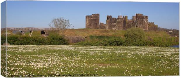 Caerphilly Castle in the Spring Canvas Print by Ellen Morris