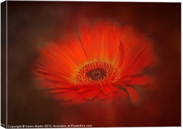 Smokey Gerbera Canvas Print by Karen Martin