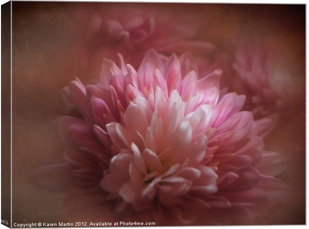 Pink Chrysanthemums Canvas Print by Karen Martin