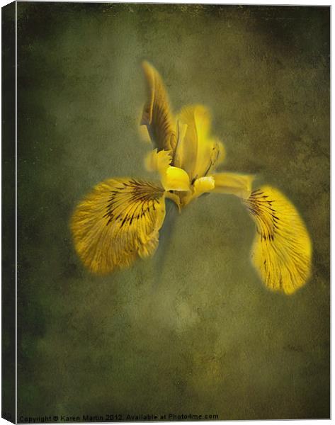 Yellow Iris Canvas Print by Karen Martin