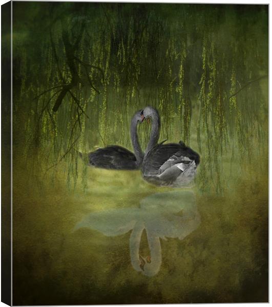 Swan Fantasy Canvas Print by Karen Martin