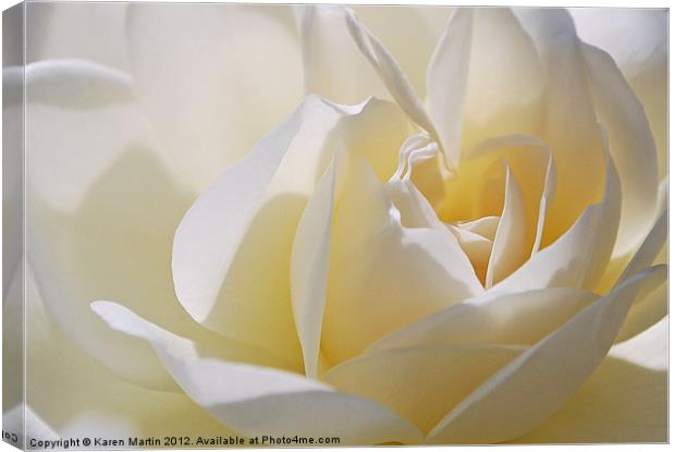 White Rose Canvas Print by Karen Martin