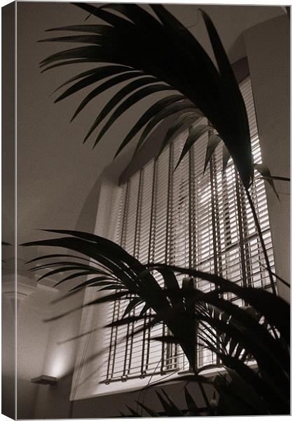 Blind Palm Canvas Print by Karen Martin