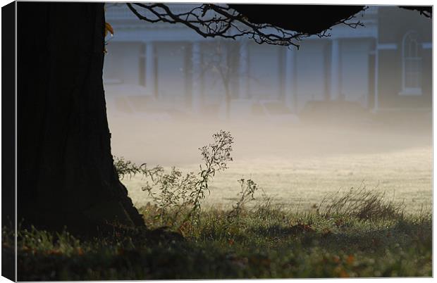 Ground Frost and Mist Canvas Print by Karen Martin