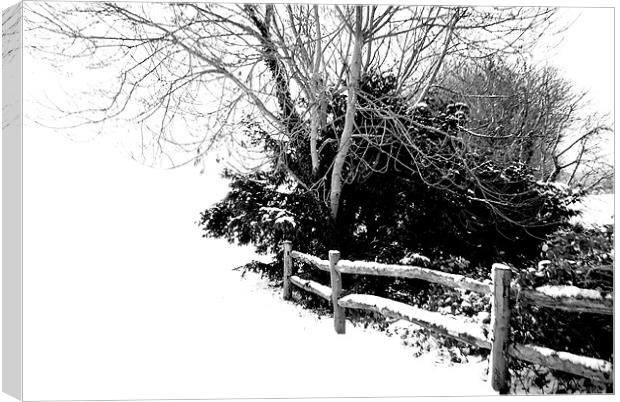 Snowy Fence Canvas Print by Karen Martin