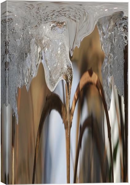 Icicle Flow Canvas Print by Karen Martin
