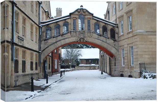 Hertford Bridge, Oxford Canvas Print by Karen Martin