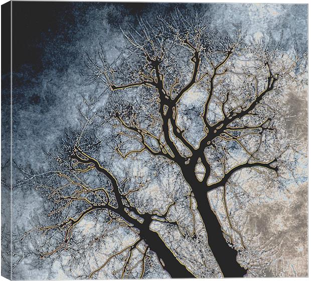 Skeleton Tree Canvas Print by Karen Martin