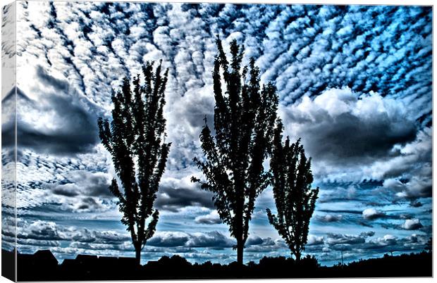 Clouds and Silhouettes Canvas Print by Karen Martin