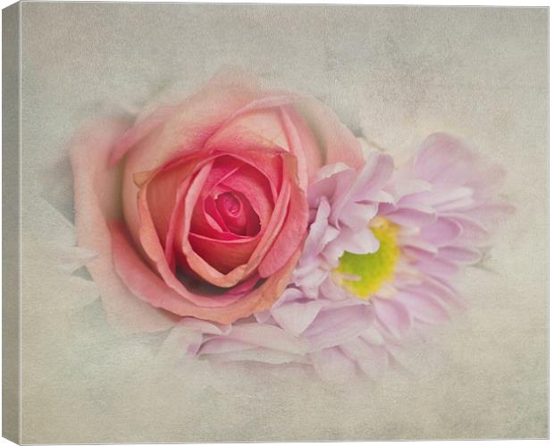 Rose and Crysanth Canvas Print by Karen Martin