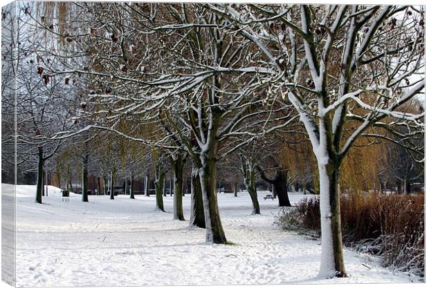 SNOWY BRANCHES Canvas Print by Ray Bacon LRPS CPAGB