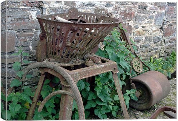 ON THE FARM ! Canvas Print by Ray Bacon LRPS CPAGB