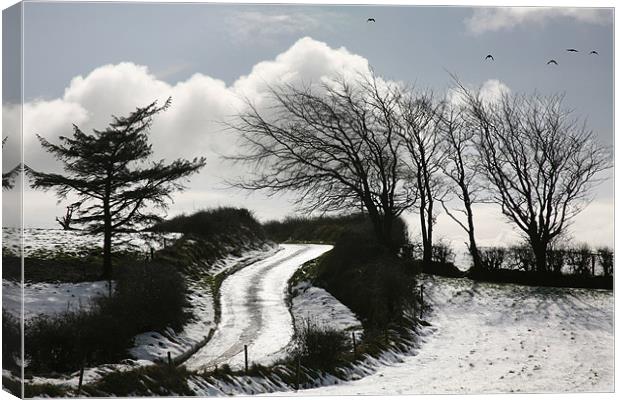 HIGHWAY TO HEAVEN Canvas Print by Noel Mealy