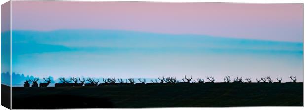 Wild Bull Elk Silhouetted Against A Rising Sun Canvas Print by Gary Beeler