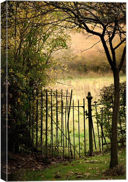 An old secret gate Canvas Print by