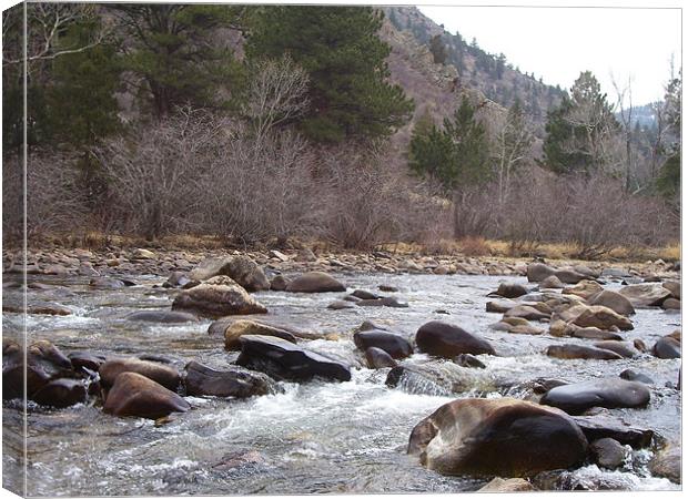 St Vrain river 5725 Canvas Print by Don Brady