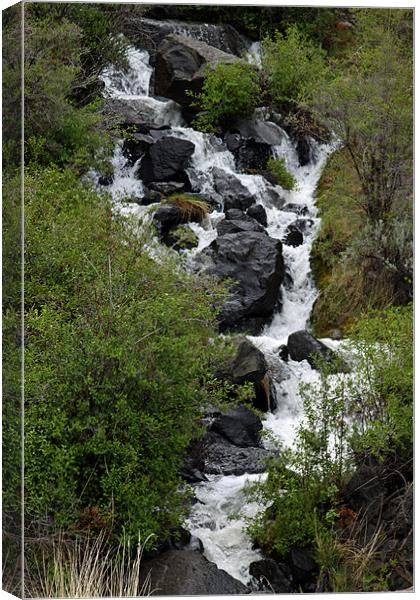 Water over Rocks Canvas Print by eric Matthews