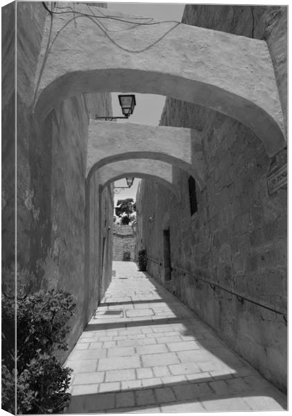 Limestone walled and arched alley Canvas Print by Steve Talbot
