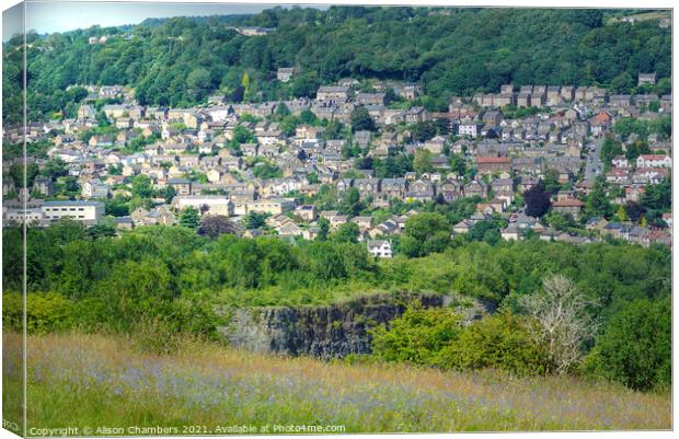 A View of Matlock Canvas Print by Alison Chambers