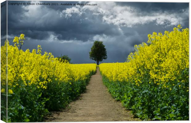 Footpath To The Storm Canvas Print by Alison Chambers