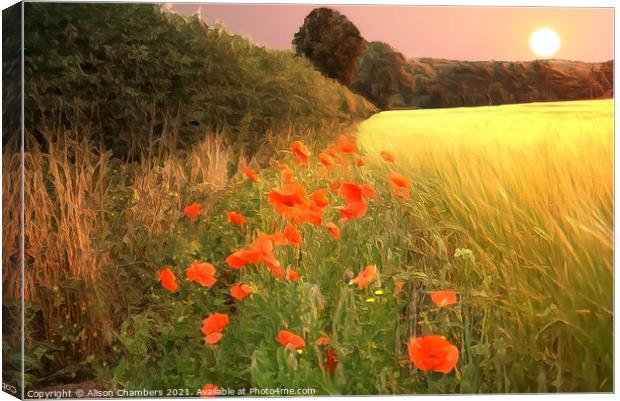Sunset Poppies Canvas Print by Alison Chambers