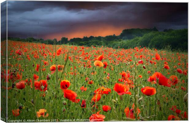 Poppy Field Fading Storm Canvas Print by Alison Chambers