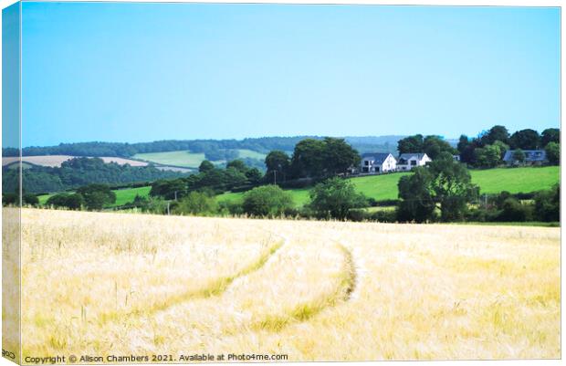 Emley Cornfield  Canvas Print by Alison Chambers