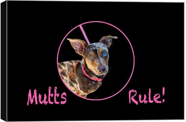 Mutts Rule! Canvas Print by Alison Chambers