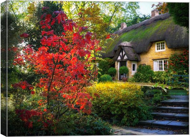Cotswold Autumnal Cottage Canvas Print by Alison Chambers